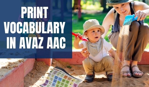 Avaz AAC Print Low Tech Book